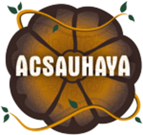 Ayahuasca in Deutschland: Was beinhaltet es genau?